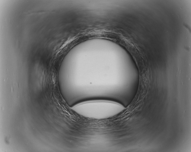 X0000102781206200808180923