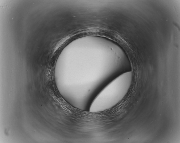 X0000102781208200808180923