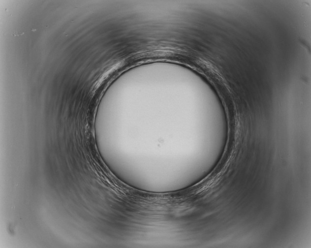 X0000102781210200808180923