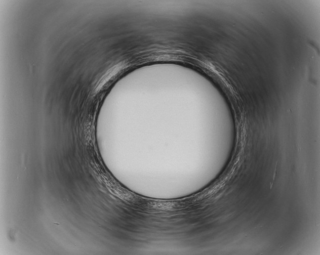 X0000102781211200808180923