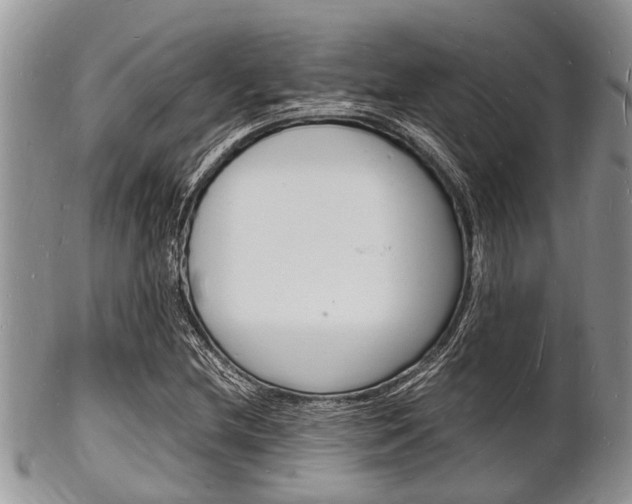X0000102781212200808180923