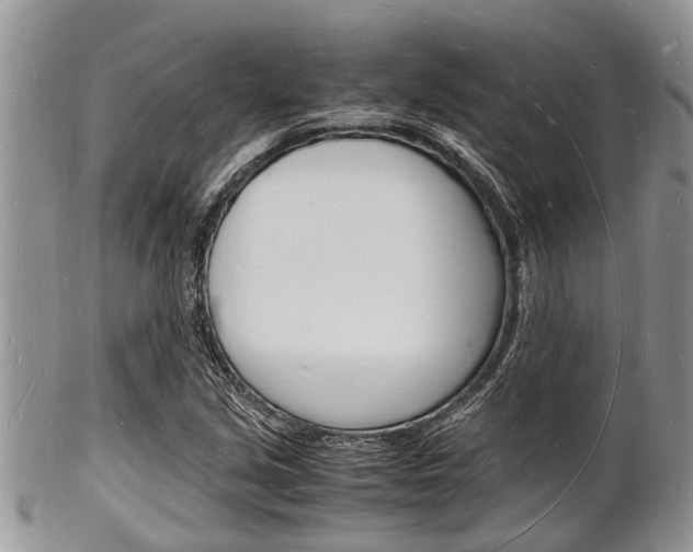 X0000102781213200808180923