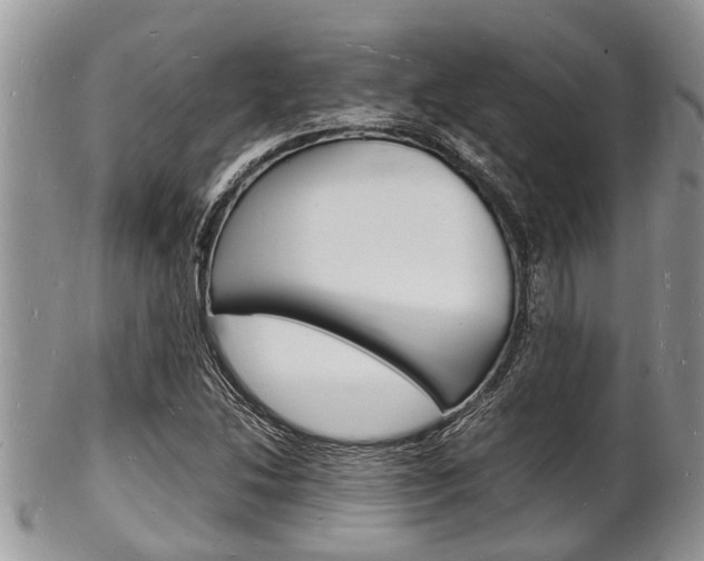 X0000102781214200808180923