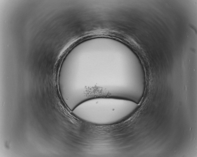 X0000102781216200808180924