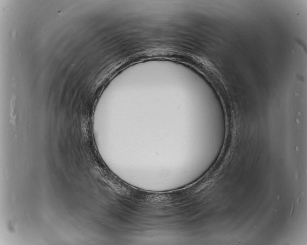 X0000102781217200808180924