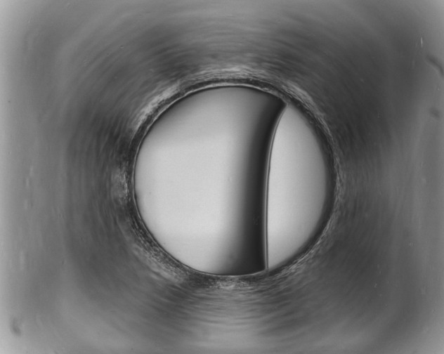 X0000102781218200808180924