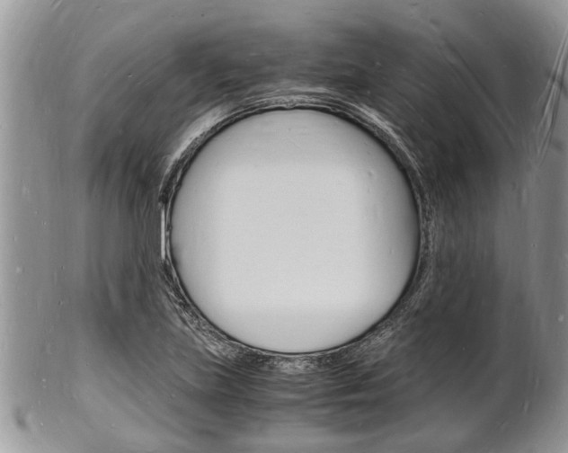 X0000102781219200808180924
