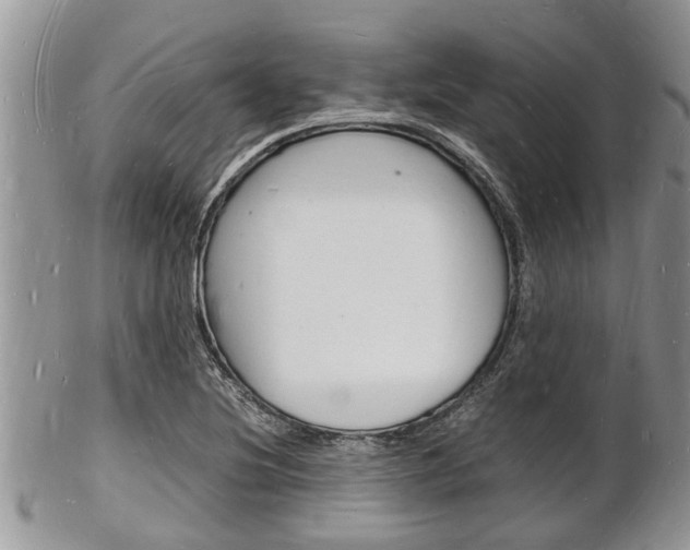 X0000102781220200808180924