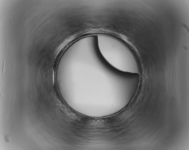 X0000102781221200808180924