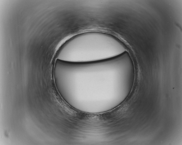 X0000102781222200808180924