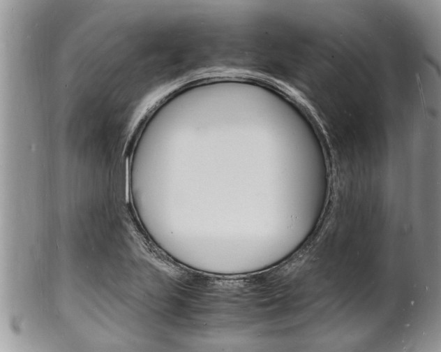 X0000102781223200808180924