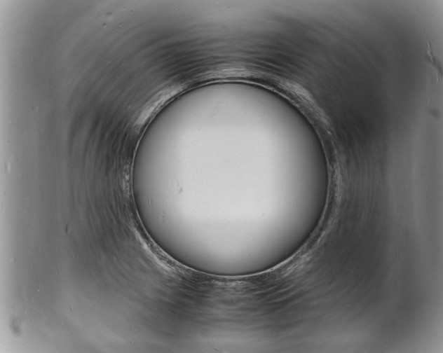 X0000102781225200808180924