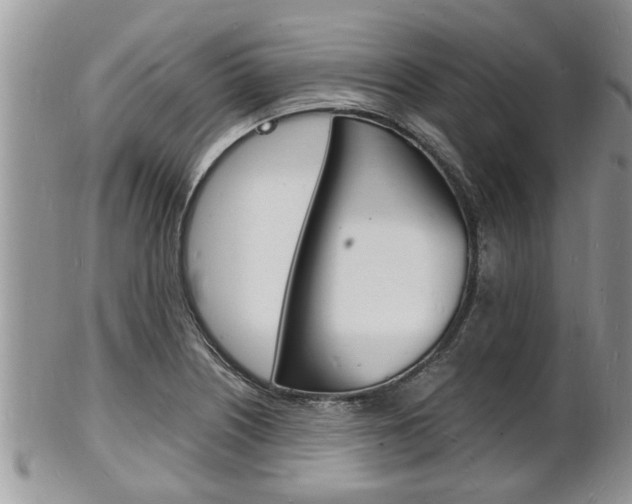 X0000102781226200808180924
