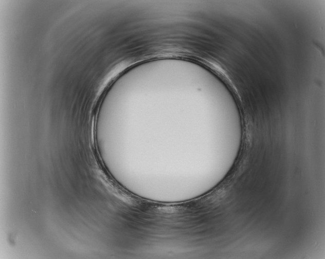 X0000102781227200808180924