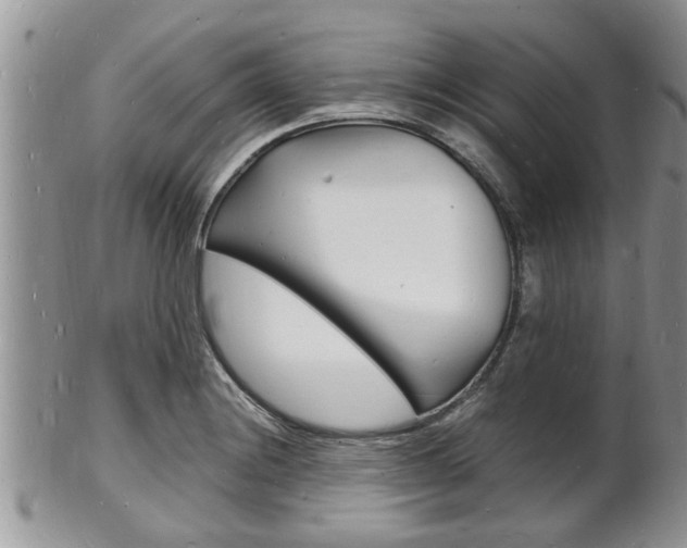 X0000102781228200808180924