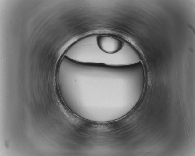 X0000102781229200808180924