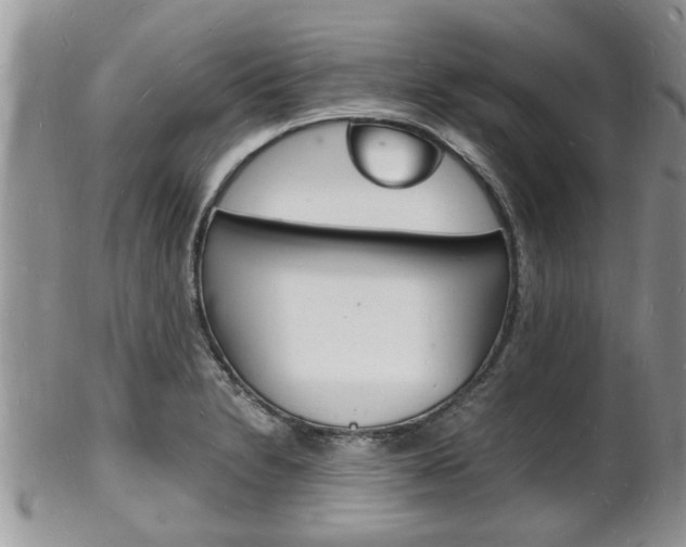 X0000102781230200808180924