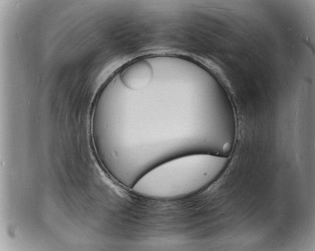 X0000102781231200808180924