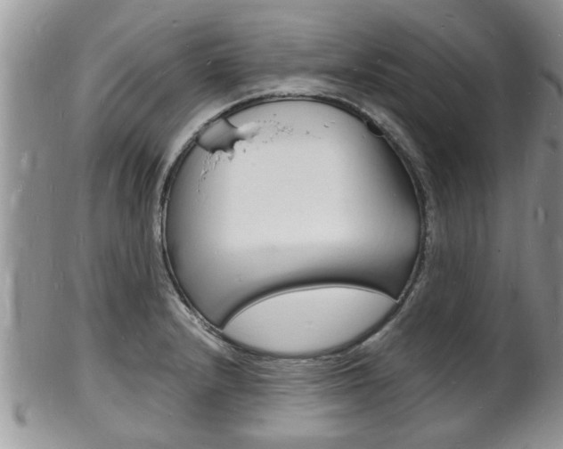 X0000102781232200808180924
