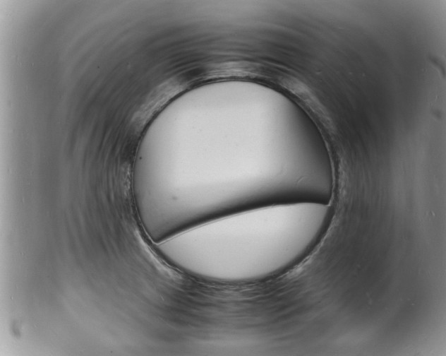 X0000102781233200808180924