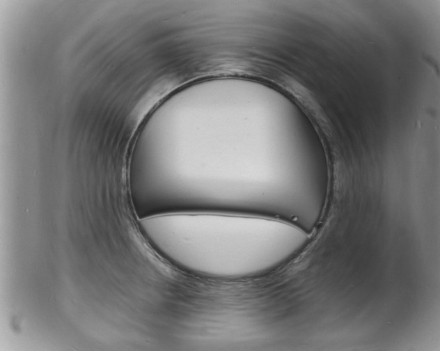 X0000102781234200808180924