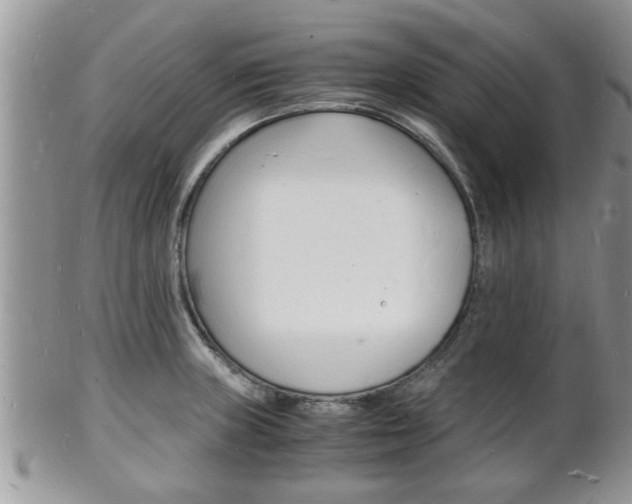 X0000102781235200808180924