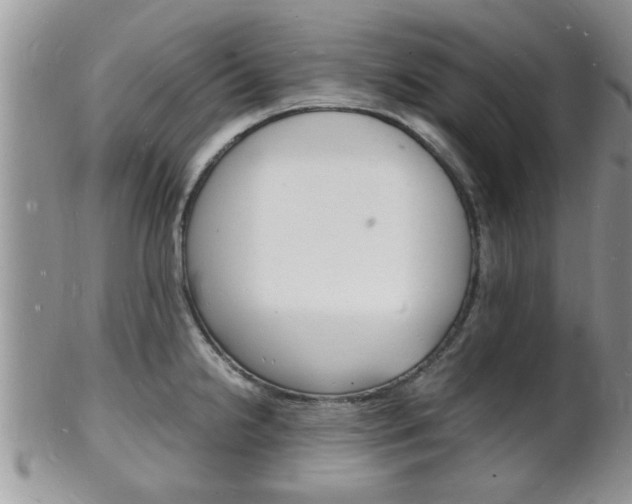 X0000102781238200808180924