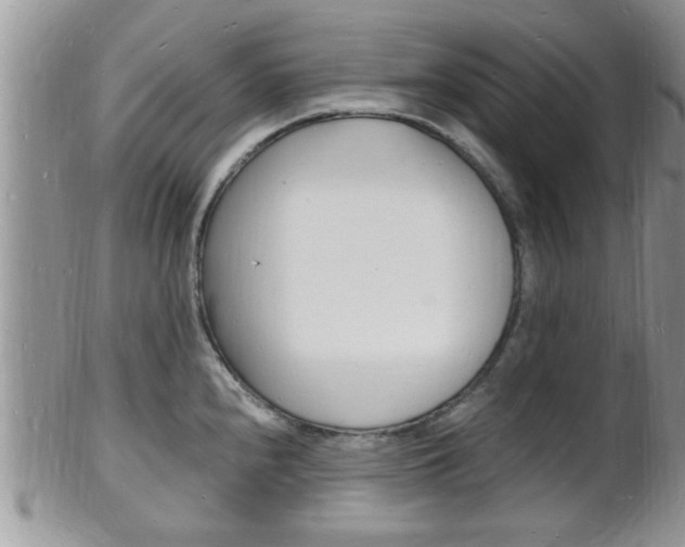 X0000102781240200808180924