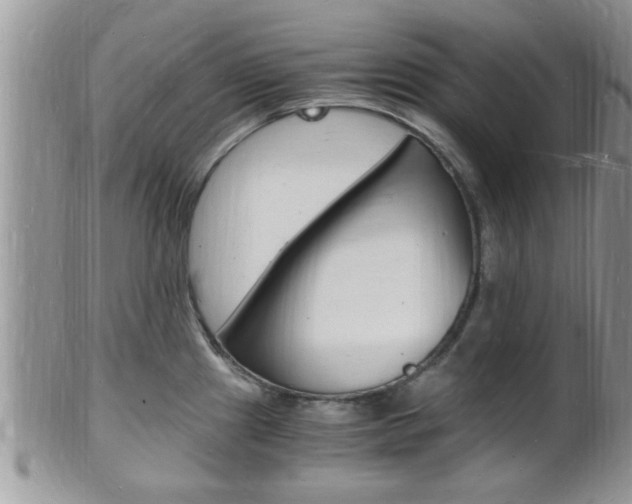 X0000102781241200808180924
