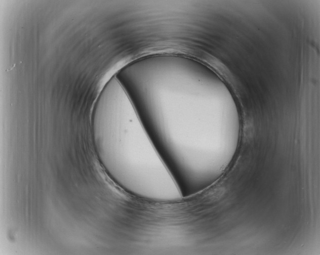 X0000102781242200808180924