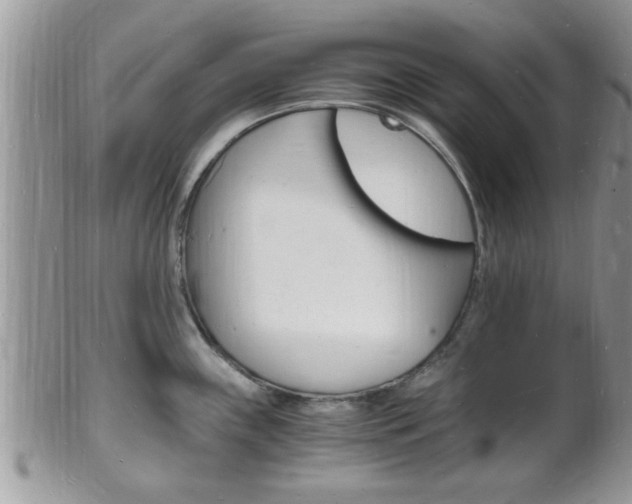 X0000102781243200808180924