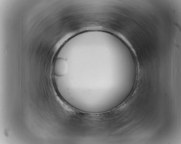 X0000102781245200808180924
