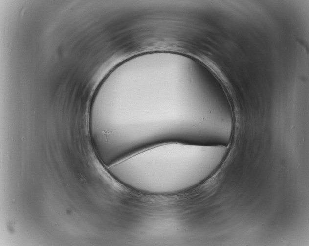 X0000102781246200808180924