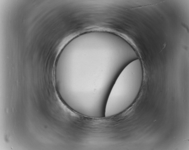 X0000102781247200808180924