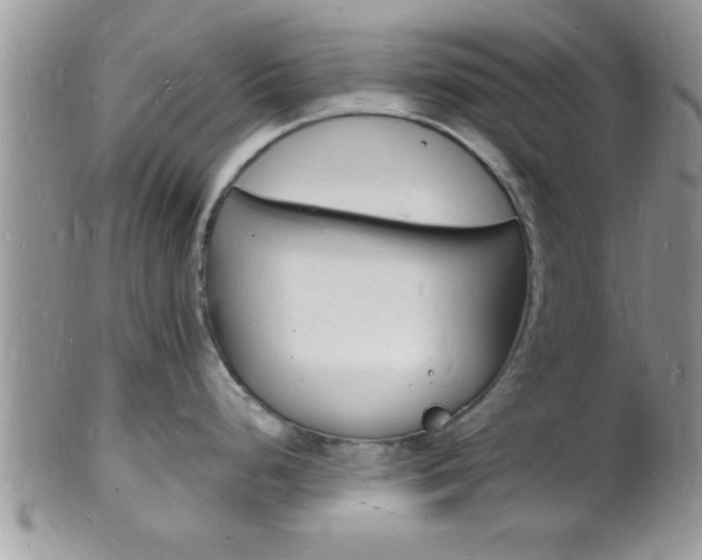 X0000102781248200808180924