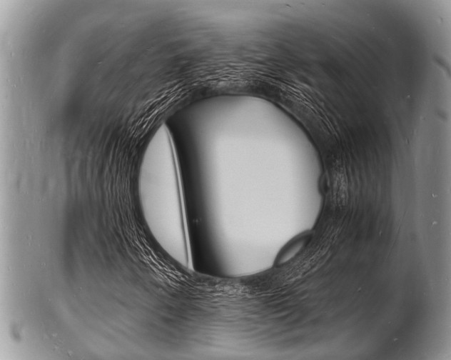 X0000102781250200808180923