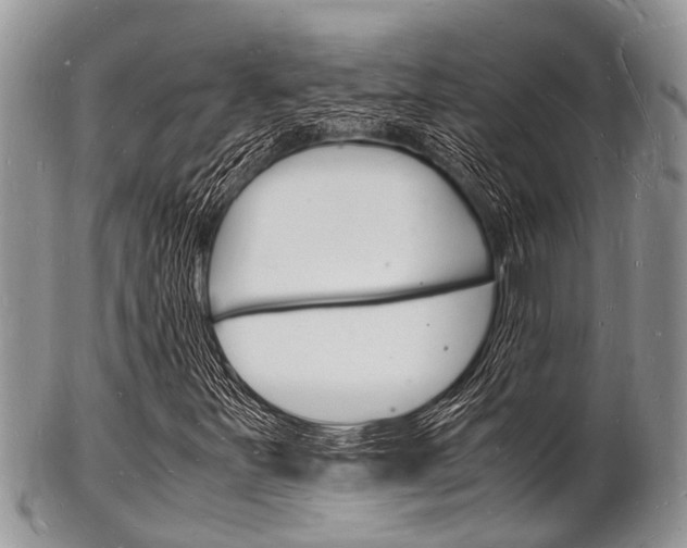 X0000102781251200808180923