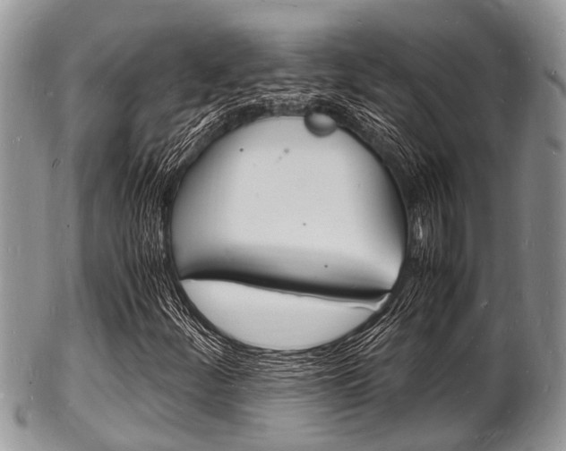 X0000102781252200808180923