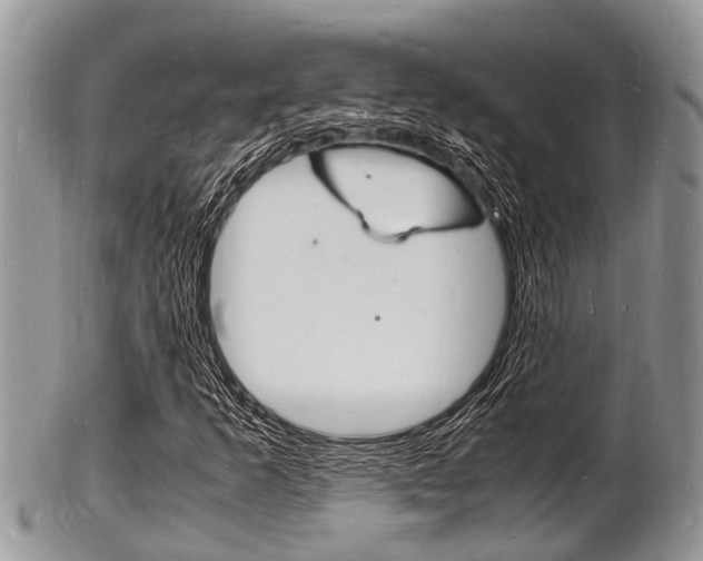 X0000102781253200808180923