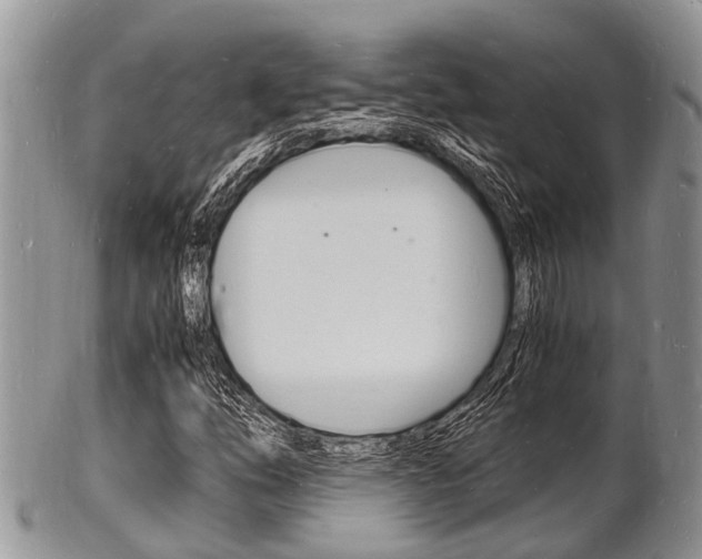 X0000102781254200808180923