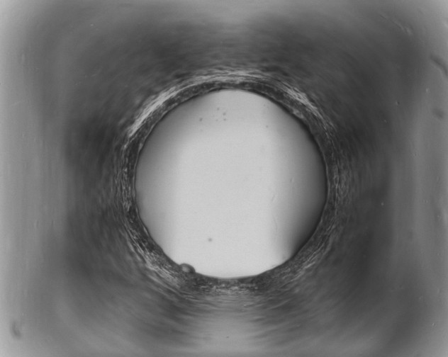 X0000102781256200808180923