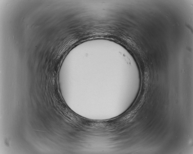 X0000102781257200808180923