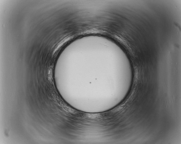 X0000102781258200808180923