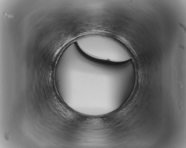X0000102781260200808180923