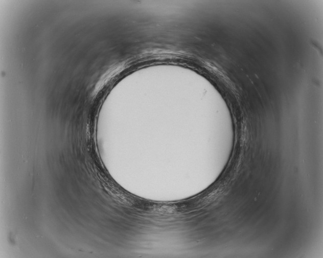 X0000102781261200808180923