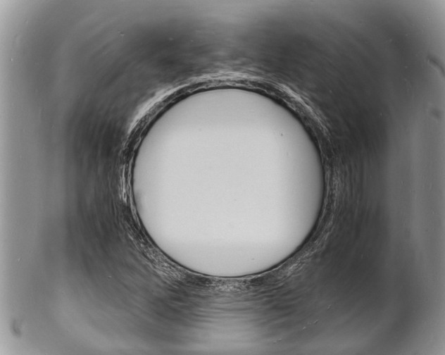 X0000102781262200808180923