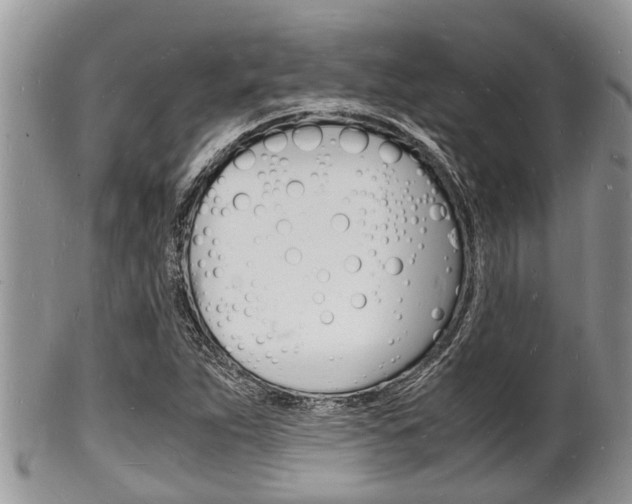 X0000102781263200808180923