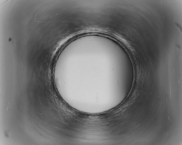 X0000102781264200808180923