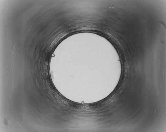 X0000102781265200808180923