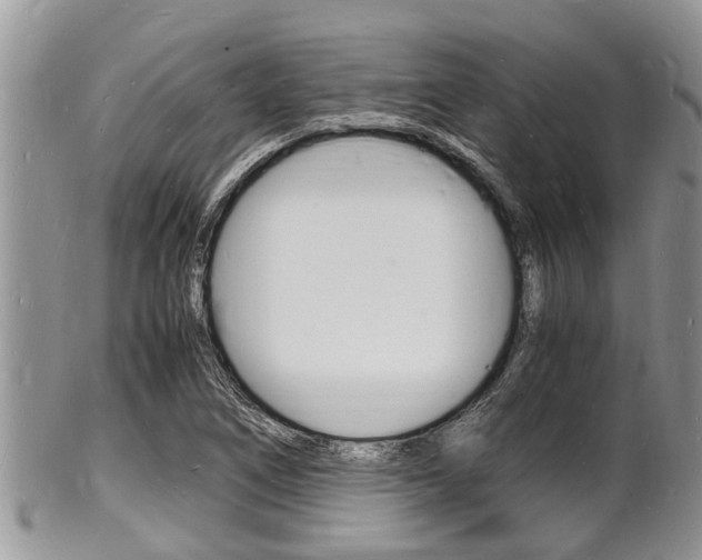 X0000102781266200808180923